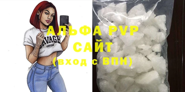 спиды Магас