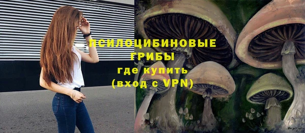 спиды Магас