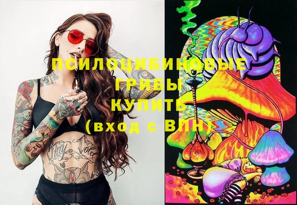 apvp Майский
