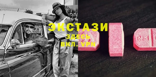 спиды Магас