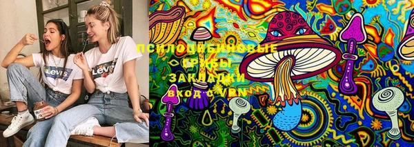 PSILOCYBIN Магадан