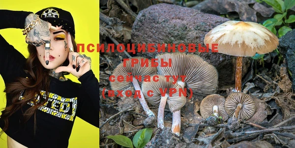 PSILOCYBIN Магадан