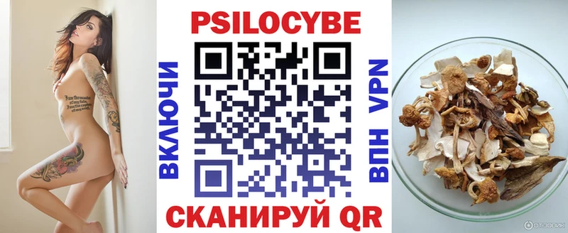 Псилоцибиновые грибы Psilocybine cubensis  Купить закладки  Малоархангельск 